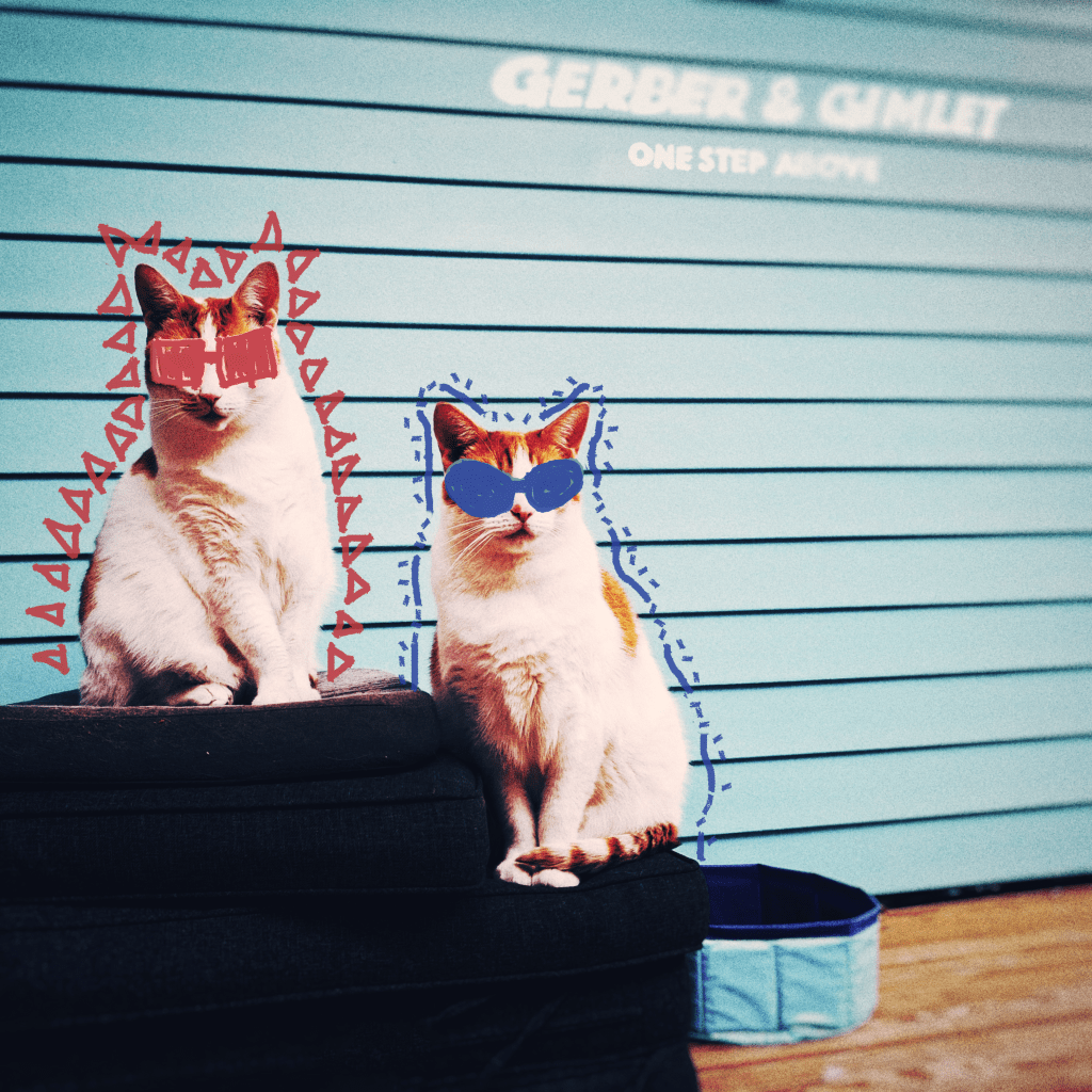A fake album cover for the cat band Gerber & Gimlet, which features two cats in front of a blue slat wall. On top of them are hand-drawn sunglasses and decorative elements.