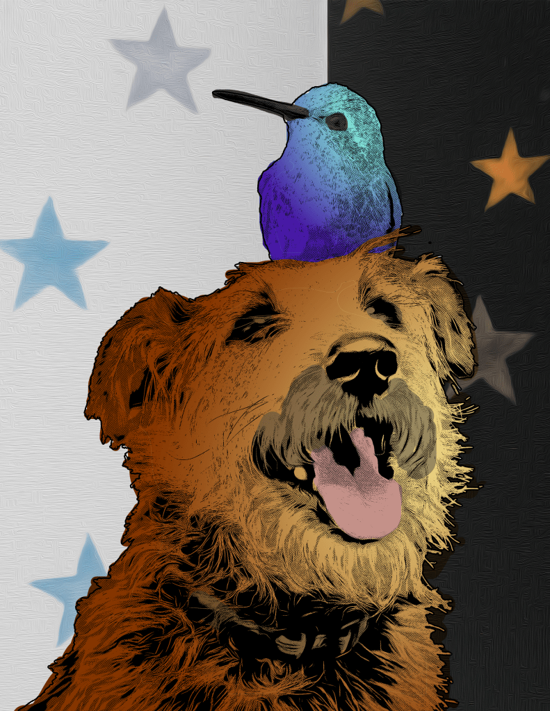 A golden dog with a blue hummingbird sitting on top of its head in front of starred, white and black wallpaper.